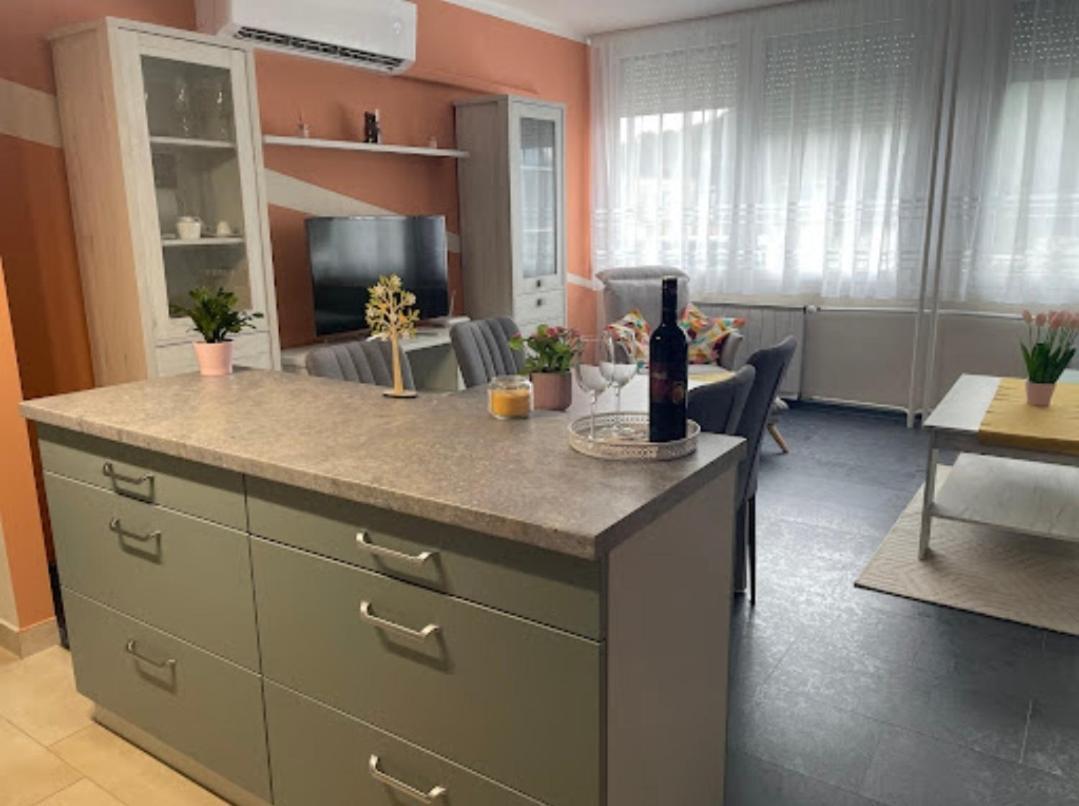 Krisztina Apartman Lejlighed Salgótarján Eksteriør billede